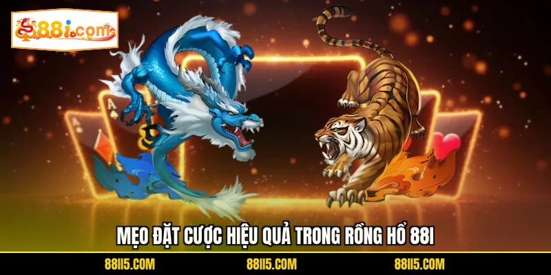 Mẹo đặt cược hiệu quả trong Rồng Hổ 88I